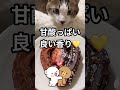 コンビニスイーツでチュロッキー！ ファミリーマート コンビニ コンビニスイーツ スイーツ デザート 猫のいる暮らし ねこ ネコ 猫のいる暮らし