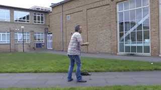 Throwing A Ball Side View Reference