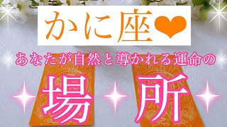 💍かに座さん✨あなたが自然と導かれる運命の場所💍【大丈夫💖あなたにぴったりのタイミングで運命の場所に導かれます🥰】🌸💖【見たときがタイミング🥰】💖無料タロット💖カードリーディング💌