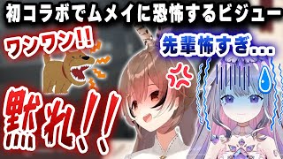 【恐怖】初コラボで大声で怒鳴るムメイ先輩を目撃してしまうビジュー、その後無理やり「ムメイは怖くない」と言わされる・・・【ホロライブ/ビジュー/ムメイ】