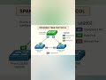 Spanning Tree Protocol (STP) Explained | Root Bridge, Designated Port, Root Port & Blocked Port