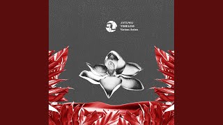 Absolute Warper (Original Mix)