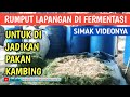 CARA MEMBUAT FERMENTASI RUMPUT LIAR, RUMPUT LAPANGAN | Pakan Kambing