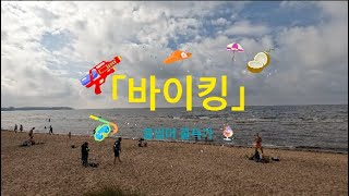 북유럽#발트3국#에스토니아 탈린#주말여행