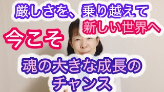 3次元物質世界の崩壊、大混乱の厳しい状況の中！外側ばかりに、心を奪われ、魂を抜き取られないよう、意識を自分の内側に向け、✨新しい世界へ向かって、力強く生きる✨