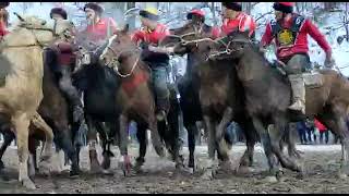 Айбек Темирбаев(Көлдүк командасы\u0026Жоодор Жолчу уулу (Жалпак Таш командасы)#ош#озгон#кокбору#достук