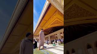 سبحان اللہ🤍🤍#subhanallah #makkah #makkahmadinah #madina #madinah #zeeshanvlog #subscribe