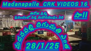 28/1/25 Madanapalle Tomato market stock today 🍅 మదనపల్లె టమోటారేట్లు #crkvideos16 #todaytomatorate