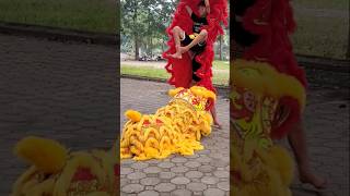 Tập múa lân đón tên nguyên đán #shorts #subscribe #Liondance #trending #tet .