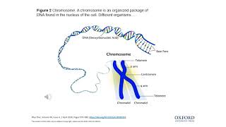 Intro to Genetics narrated ppt 2022