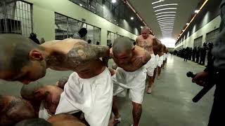 Thousands of suspected gang members moved to 'mega prison' in El Salvador