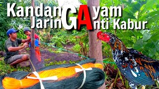 Cara Mudah Membuat Kandang Ayam Dari Jaring