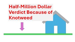 Half-Million Dollar Verdict Because of Knotweed: Property Transactions; Part 2 of 3