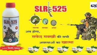 ਨਰਮੇ ਚ ਚਿੱਟੀ ਮੱਖੀ, ਹਰਾ ਤੇਲਾ, ਖਤਮ ਕਰਨ ਲਈ GSP ਕੰਪਨੀ ਨੇ ਨਵੀ ਦਵਾਈ ਵਾਰੇ ਜਾਣਕਾਰੀ