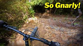 Can I Ride the HARDEST Trail in the Park? // Nelson