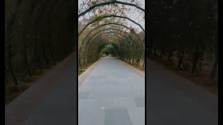 Venuvan,Rajgir #monaliroy #viral #viralvideo #shortsfeed #shortvideo #shortsviral #youtubeshorts