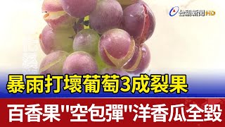 暴雨打壞葡萄3成裂果 百香果\