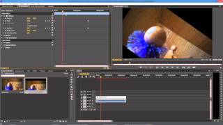 Adobe Premiere: How to Rotate, Scale, Zoom Video