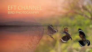 Bangpra bird photograph, Bang Phra Reservoir, Relax like a bird photographer.