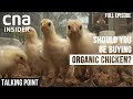 Is Free-Range Chicken Better For You? | Talking Point | Full Episode