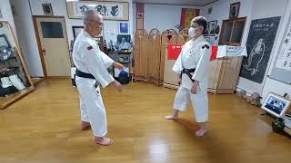 4.初段金的蹴りに対して 膝受波返 鶴立拳 Kin Teki Geri Hiza Uke Nami Gaeshi 少林寺拳法 Shorinjikempo