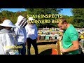 State Honey Bee Inspection At Barnyard Bees