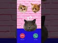 Ringtone #sonyericsson #ringtone #phone #shorts cats