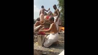 Panchamrutha Abisheka to Raghothama theertha swamy on Dasmi Aradhana Panchamrutha Abisheka to Raghothama theertha swamy on Dasmi Aradhana