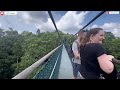 macritchie reservoir trail singapore 🇸🇬 mzr kashmir walk 🚶‍♀️