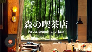 環境音＋JAZZ やさしい森の喫茶店 自然環境音 リラックスカフェ CAFE MUSIC 癒しの空間 鳥のさえずり 川のせせらぎ 作業 勉強 - 作業用BGM