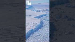 Antarctica’s glaciers are melting #Shorts