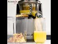 kuvings whole slow juicer ev0820