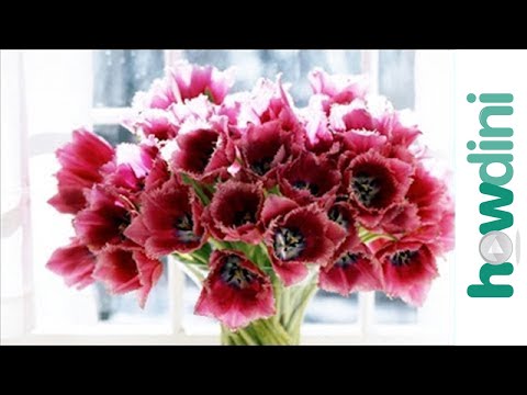 How to make cut flowers last longer How to make cut flowers last longer