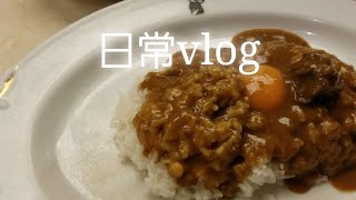 【日常vlog】東京でインデアンカレーを食べる｜里崎ライブに行きました｜タピオカミルクティー