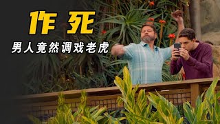 男人在动物园调戏老虎，结果被大卸八块