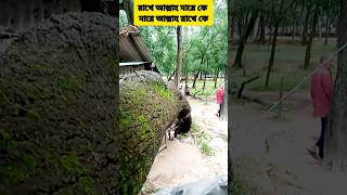 রাখে আল্লাহ মারে কে #poortree #cycloneattack #Peopledanger #lostproject #helpplease #help #viral