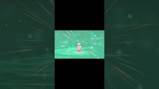 【ポケモンBDSP】色違いメリープ、モココ、デンリュウ#shorts