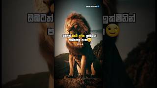 Your day will come soon|ඔබේ දවස ඉක්මනින්  පැමිණෙවි|Motivation|Sinhala|#life#success#viral