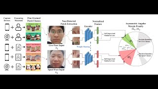 PatchNet: A Simple Face Anti-Spoofing Framework via Fine-Grained Patch Recognition (CVPR 2022)