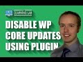 Disable WordPress Core, Theme & Plugin Updates Using A Plugin | WP Learning Lab