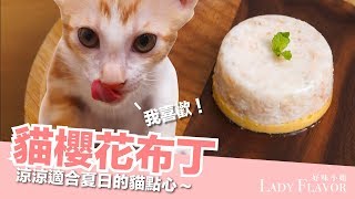 奶茶好喜歡！貓櫻花布丁～【貓副食食譜】好味貓廚房EP106