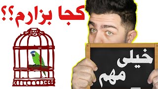 قفس طوطی رو تو این مکان ها قرار ندهید