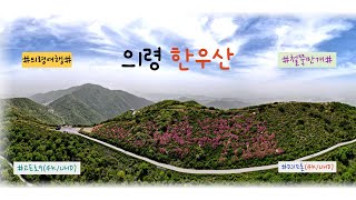 [4K UHD] 한우산(의령) 철쭉 고프로 및 드론 촬영 영상  |  로니와 프로