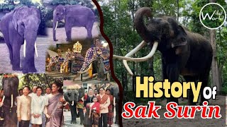 History of Sak Surin \u0026 other two Tuskers | Sak Surin-Then and Now | Muthu Raja - Kandula - Thai Raja