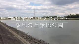 潮風の丘緑地公園　半田市シーバススポット 亀崎の運河