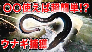 【天然ウナギ①】コンビニの○○を使って簡単捕獲する方法