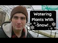 Winter Has Arrived at the Plant Nursery!