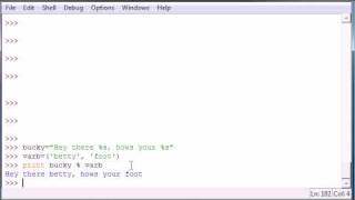 Python Programming Tutorial - 17 - Strings n Stuff
