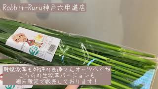 【神戸六甲道店】生牧草ご紹介！【オススメ】