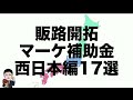 【2025年1月版】海外、国内マーケティング・販路開拓・集客に使える補助金38選